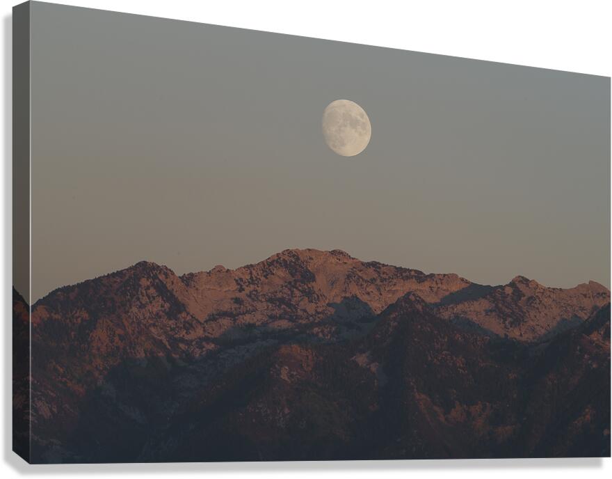 Moonrise Canvas Print