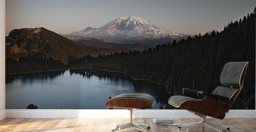 Tahoma Wall Murals