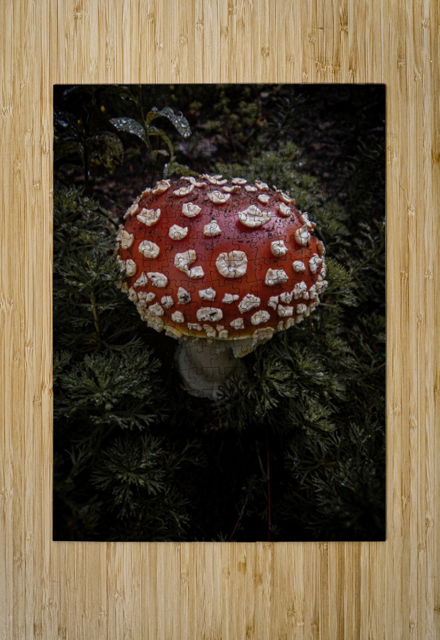 Mushroom Chris Johnson Puzzle printing